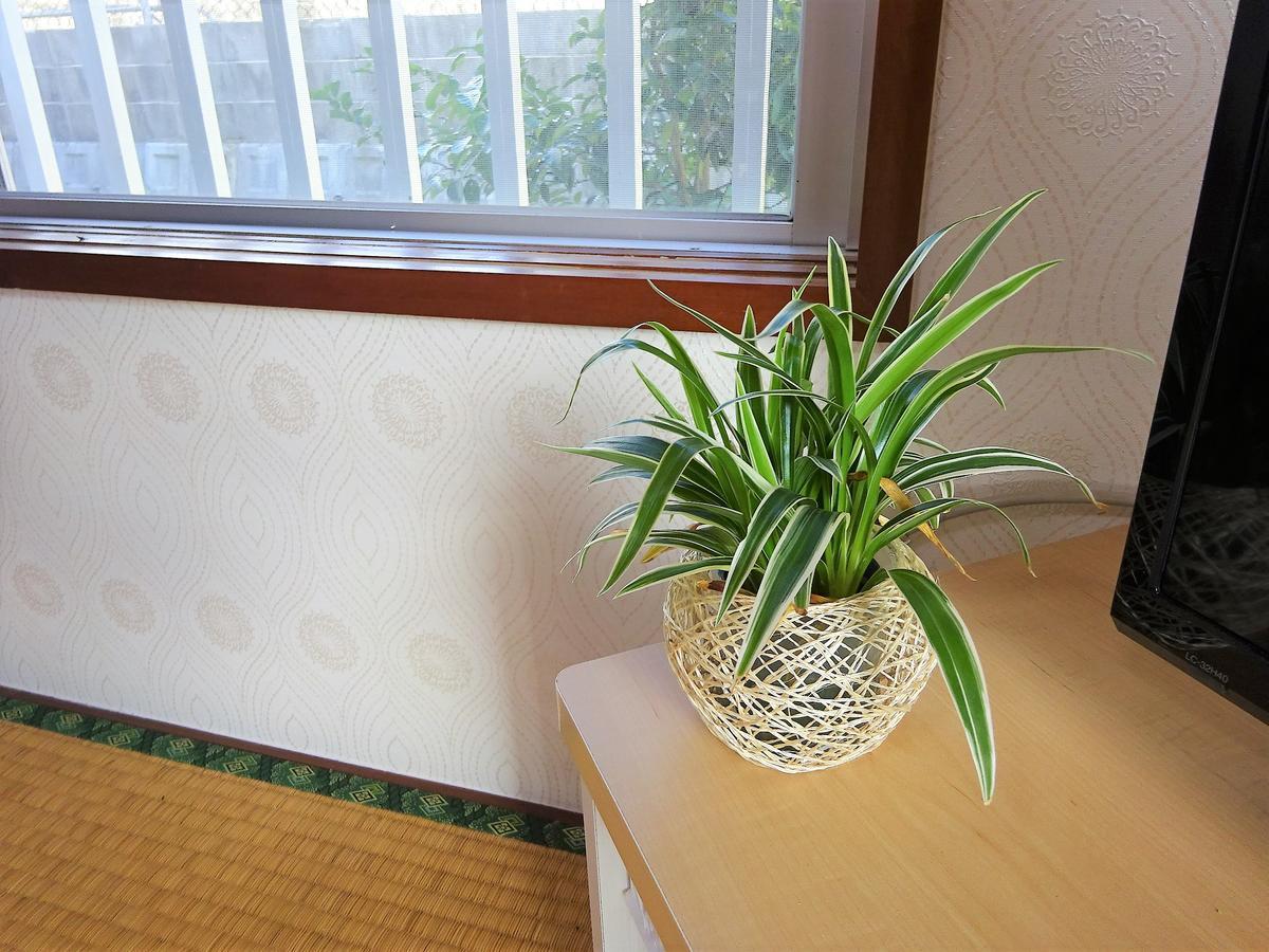 Minshuku Itoman Bettei Goyukkuri Hotel Luaran gambar